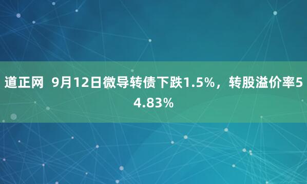 道正网  9月12日微导转债下跌1.5%，转股溢价率54.83%