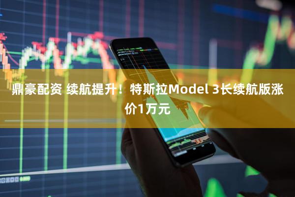 鼎豪配资 续航提升！特斯拉Model 3长续航版涨价1万元